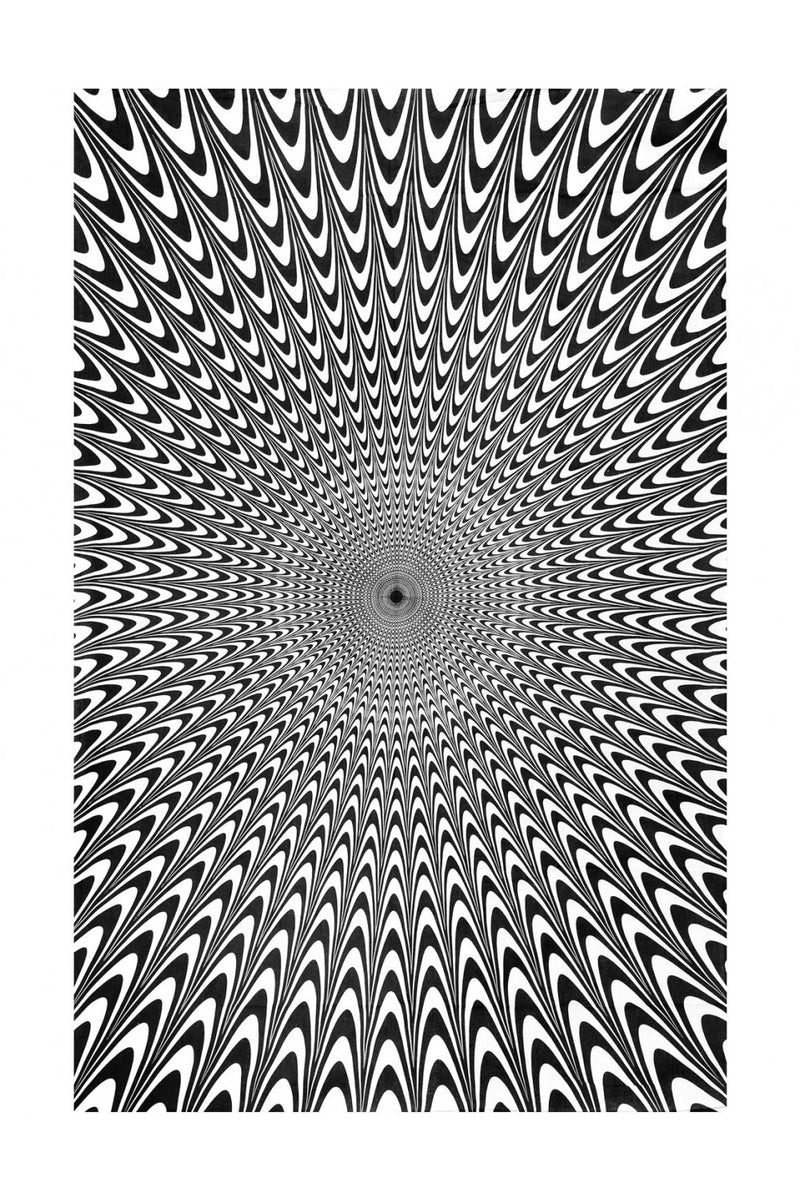 Electric Vibrations Black/White