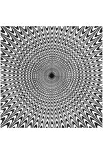Electric Vibrations Black/White