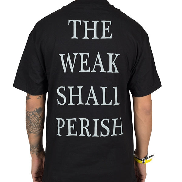 Disgorge All Shall Perish