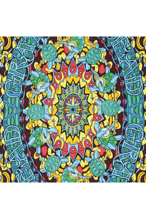 Grateful Dead Terrapin Dance