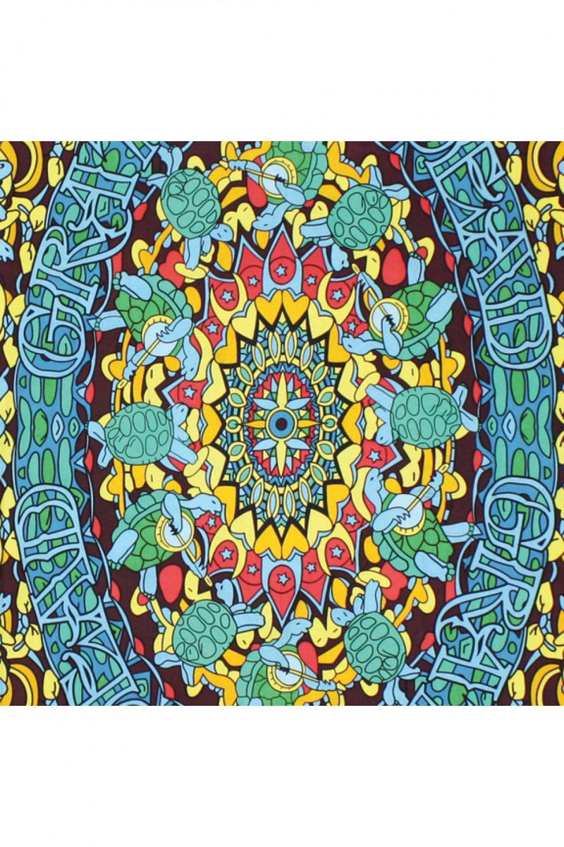 Grateful Dead Terrapin Dance