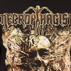 Necrophagist Diminished