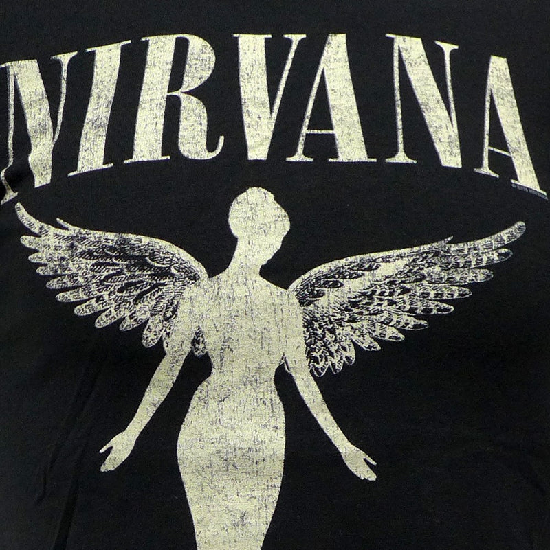 Nirvana In Utero Tour